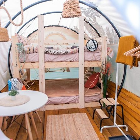 Hotel Dragonfly Gardens - The Wagons Braşov Exterior foto