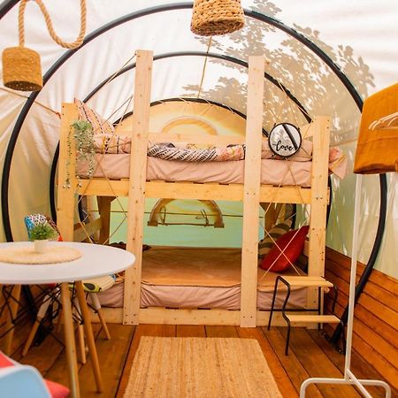 Hotel Dragonfly Gardens - The Wagons Braşov Exterior foto