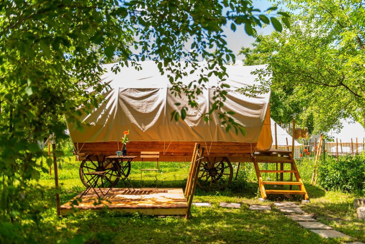 Hotel Dragonfly Gardens - The Wagons Braşov Exterior foto