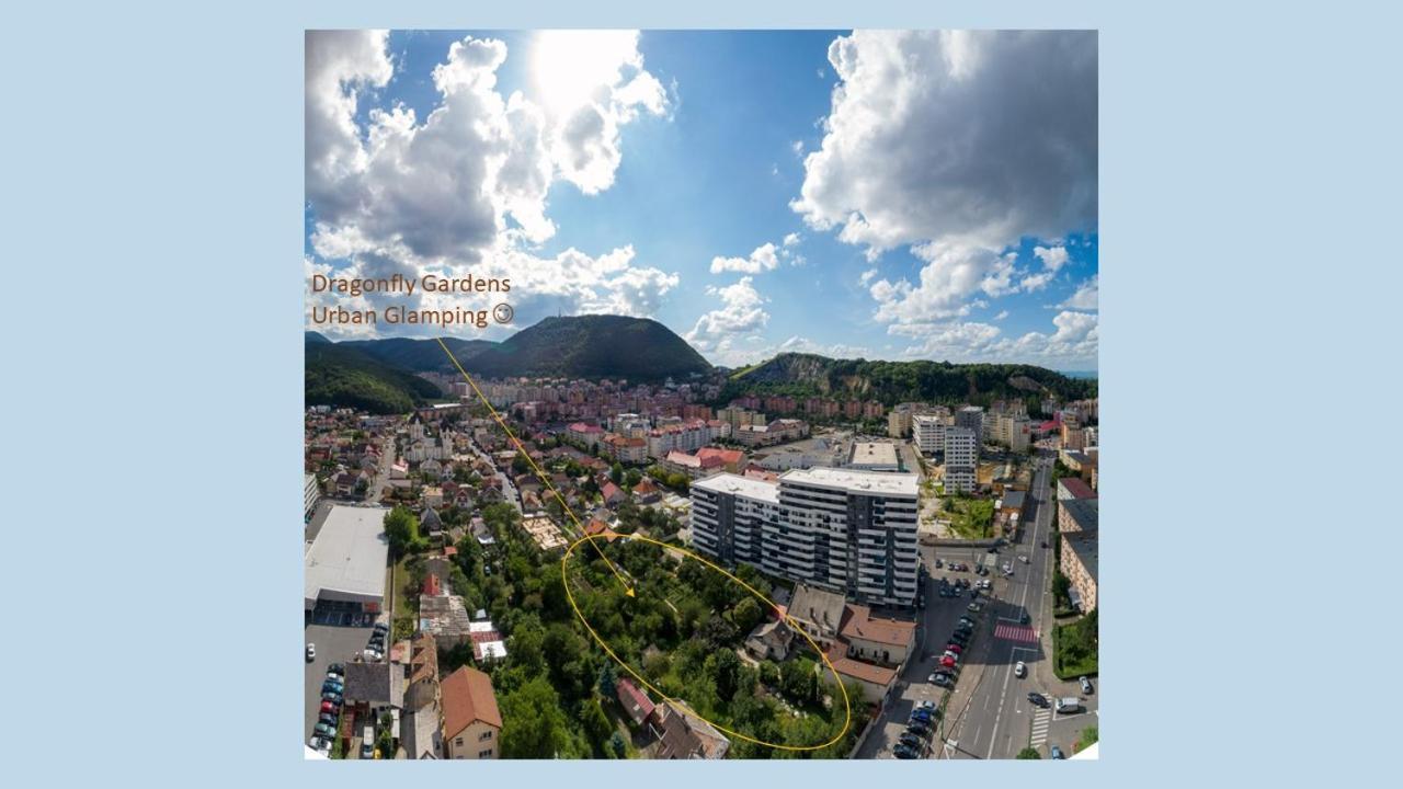 Hotel Dragonfly Gardens - The Wagons Braşov Exterior foto