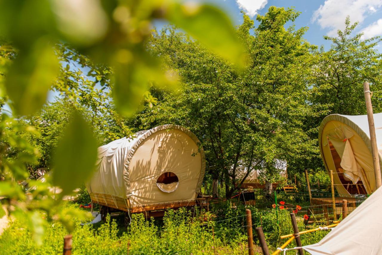 Hotel Dragonfly Gardens - The Wagons Braşov Exterior foto