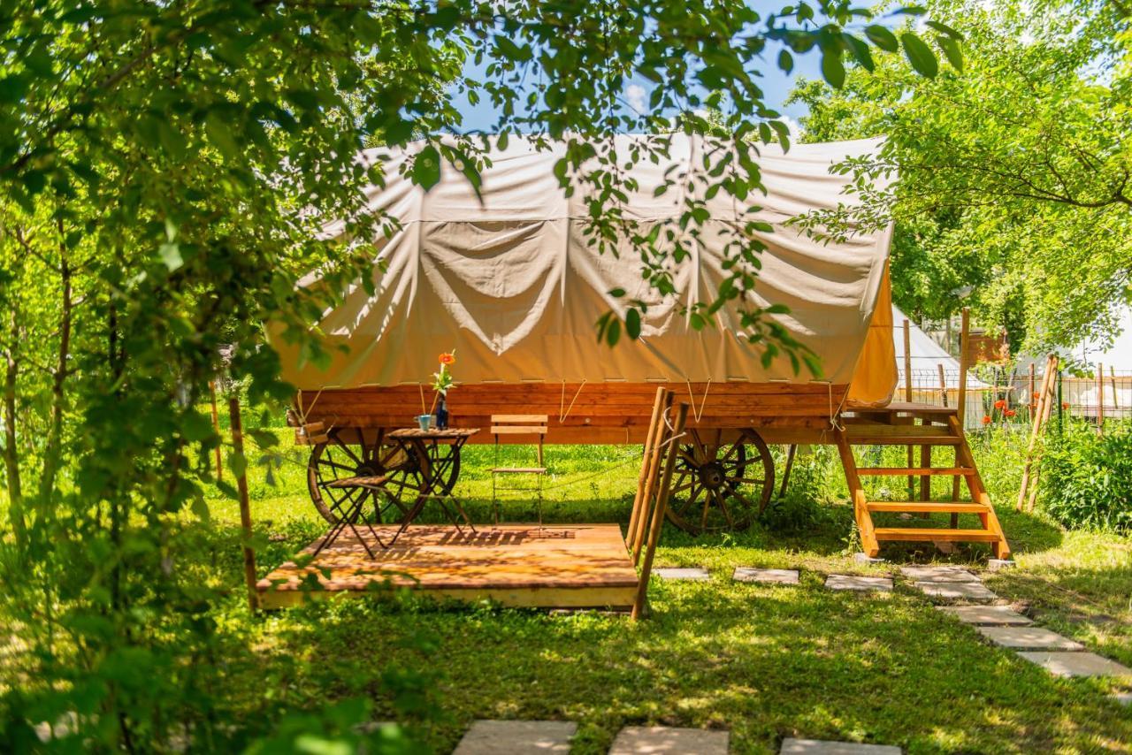 Hotel Dragonfly Gardens - The Wagons Braşov Exterior foto