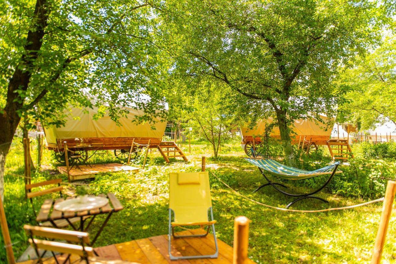 Hotel Dragonfly Gardens - The Wagons Braşov Exterior foto