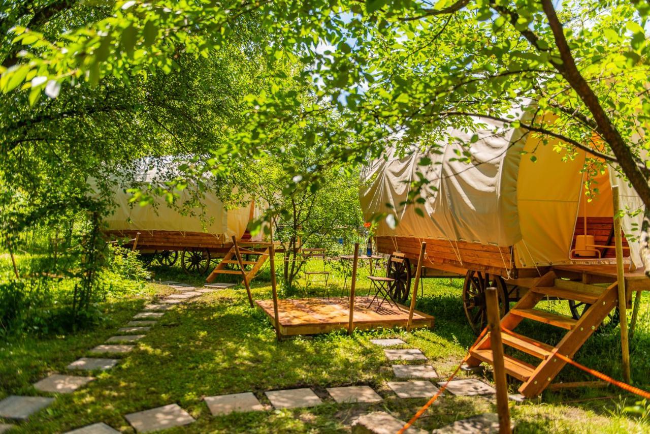 Hotel Dragonfly Gardens - The Wagons Braşov Exterior foto