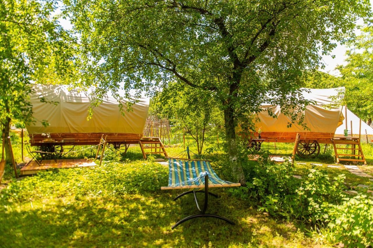 Hotel Dragonfly Gardens - The Wagons Braşov Exterior foto