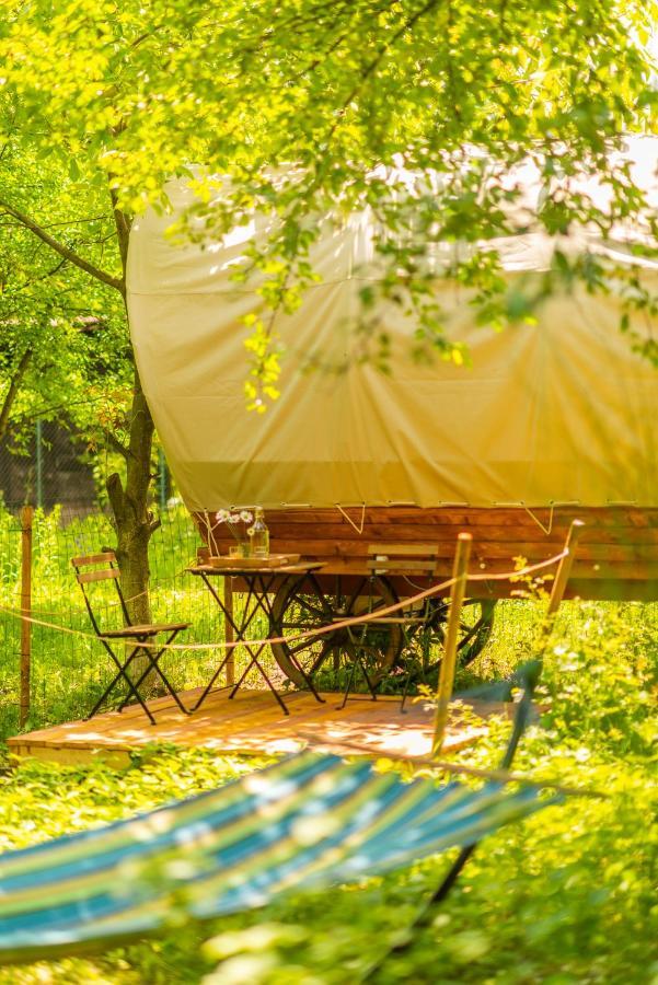 Hotel Dragonfly Gardens - The Wagons Braşov Exterior foto