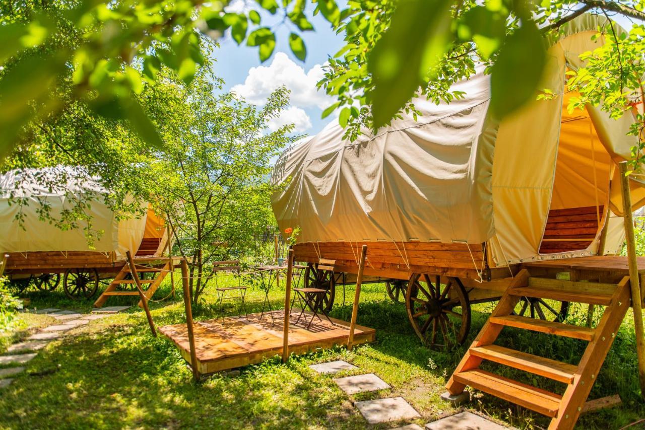 Hotel Dragonfly Gardens - The Wagons Braşov Exterior foto
