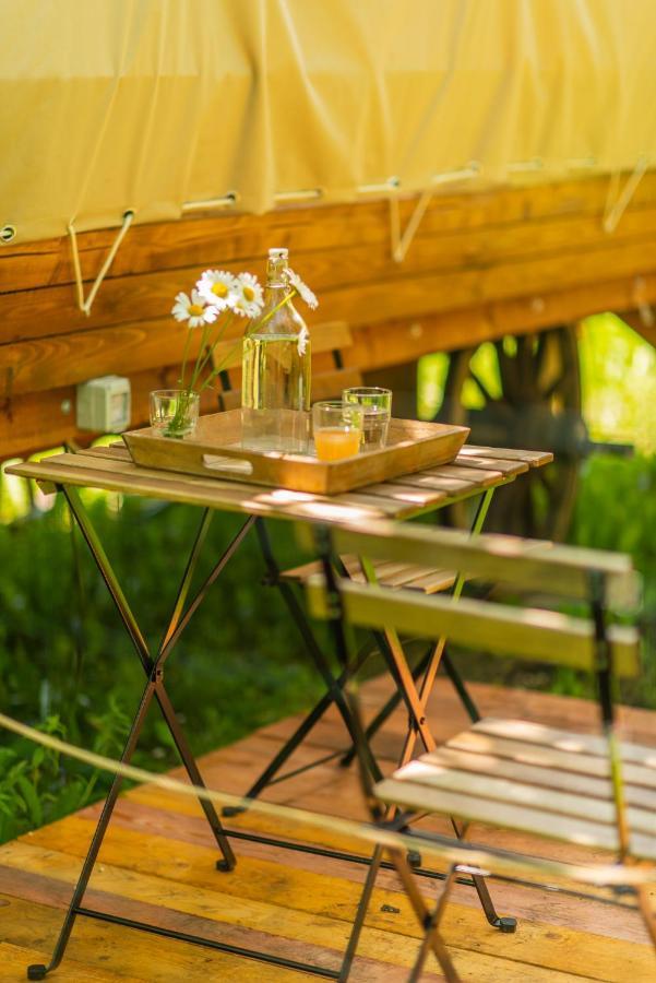 Hotel Dragonfly Gardens - The Wagons Braşov Exterior foto