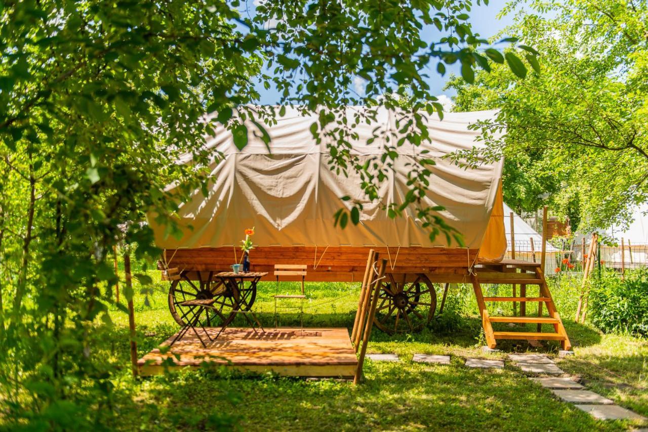 Hotel Dragonfly Gardens - The Wagons Braşov Exterior foto