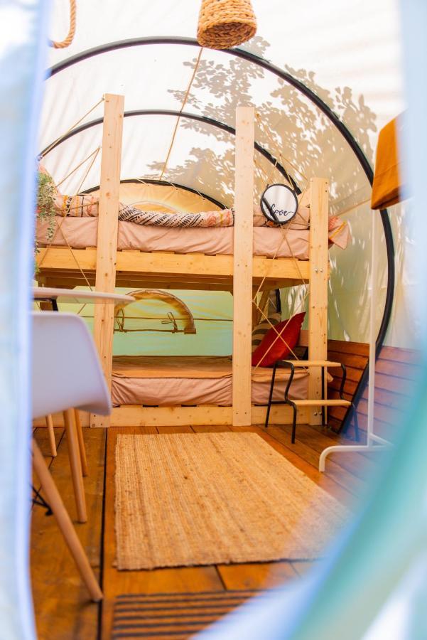 Hotel Dragonfly Gardens - The Wagons Braşov Exterior foto