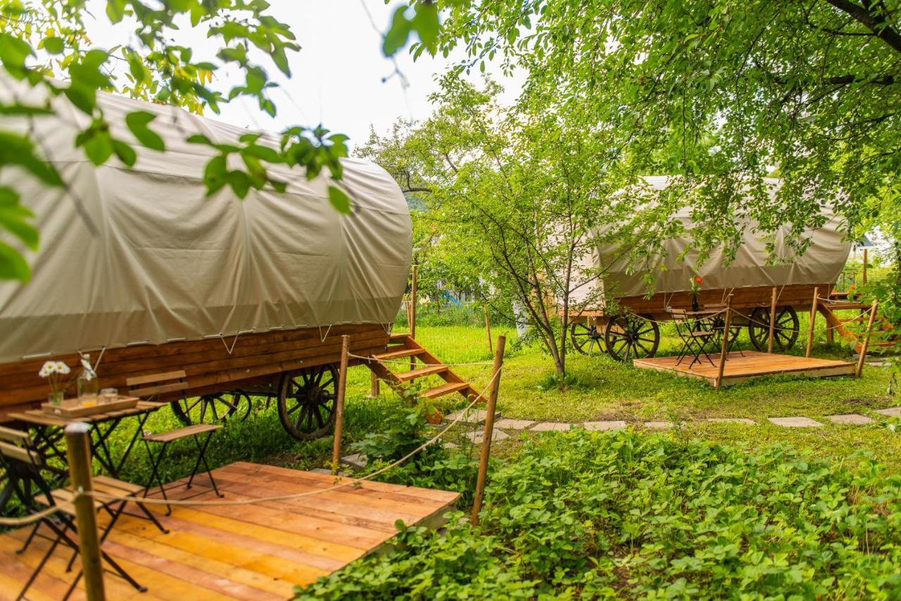 Hotel Dragonfly Gardens - The Wagons Braşov Exterior foto