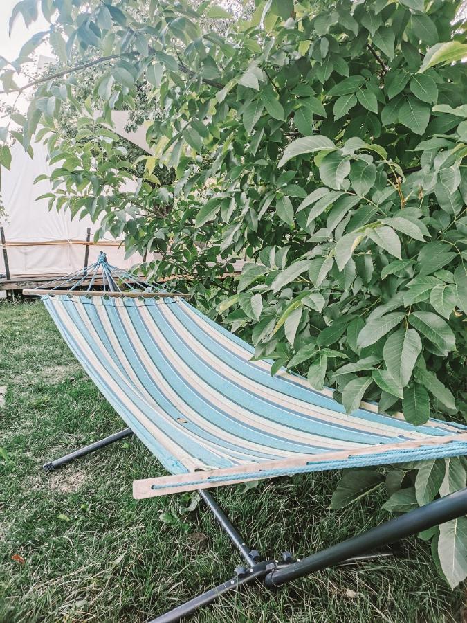 Hotel Dragonfly Gardens - The Wagons Braşov Exterior foto