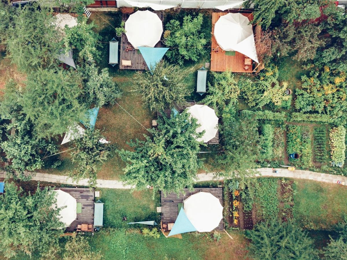Hotel Dragonfly Gardens - The Wagons Braşov Exterior foto
