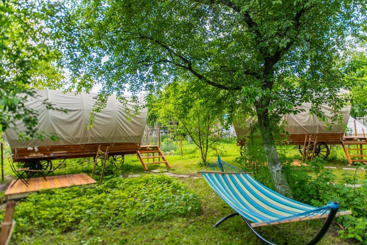 Hotel Dragonfly Gardens - The Wagons Braşov Exterior foto