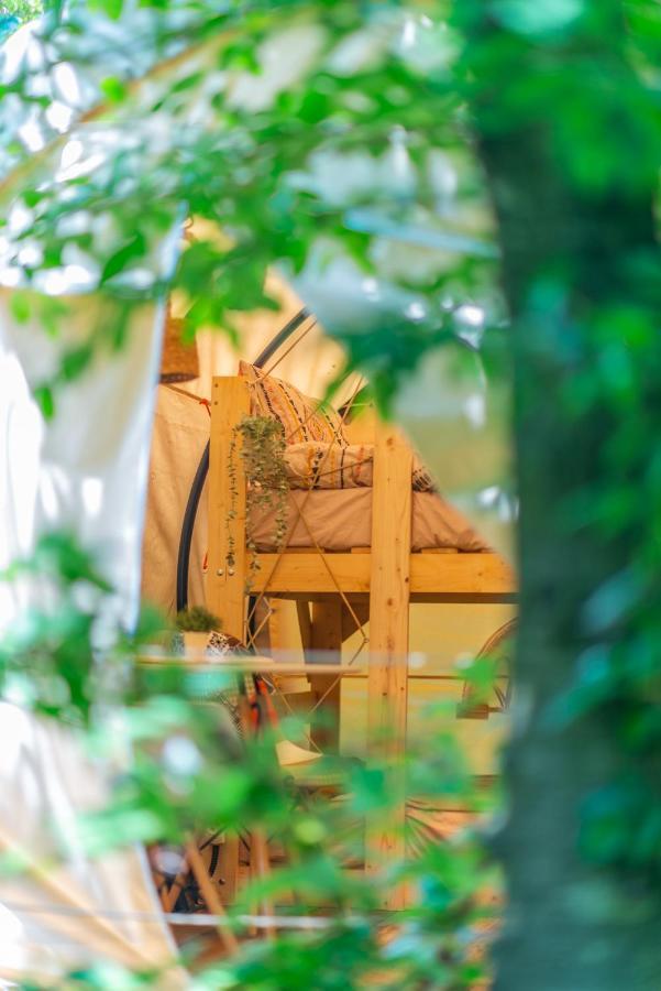Hotel Dragonfly Gardens - The Wagons Braşov Exterior foto