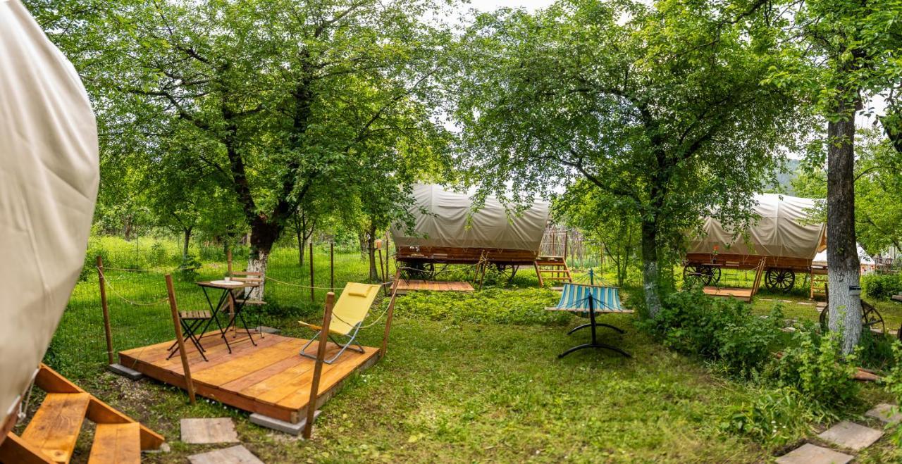 Hotel Dragonfly Gardens - The Wagons Braşov Exterior foto